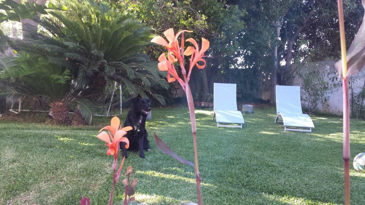 Apartament A Casa Di Marley Lecce Zewnętrze zdjęcie